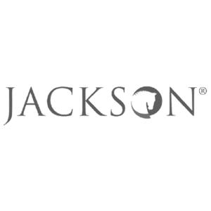 jackson parkstone financial valdosta ga