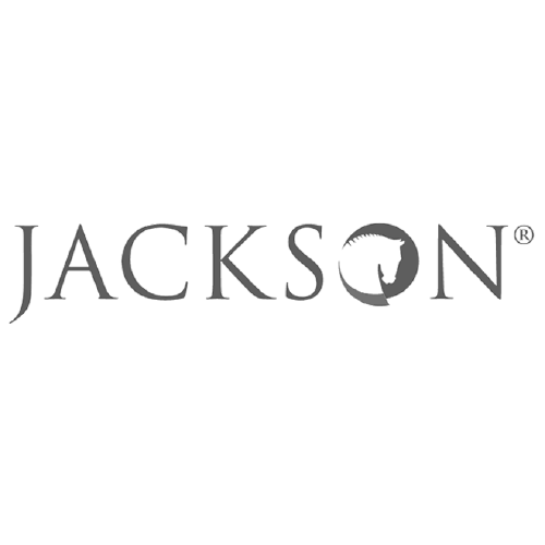 jackson parkstone financial valdosta ga